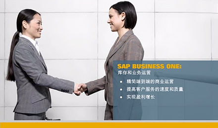 SAP Business One庫存和業(yè)務(wù)運(yùn)營